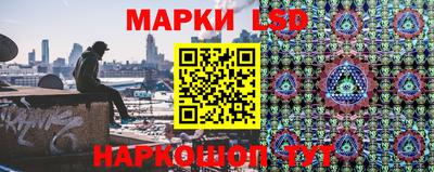 mdma Гатчина