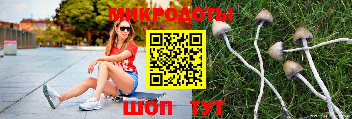 Галлюциногенные грибы мицелий  Галлюциногенные грибы Psilocybe  Нефтекумск  Вход с VPN 