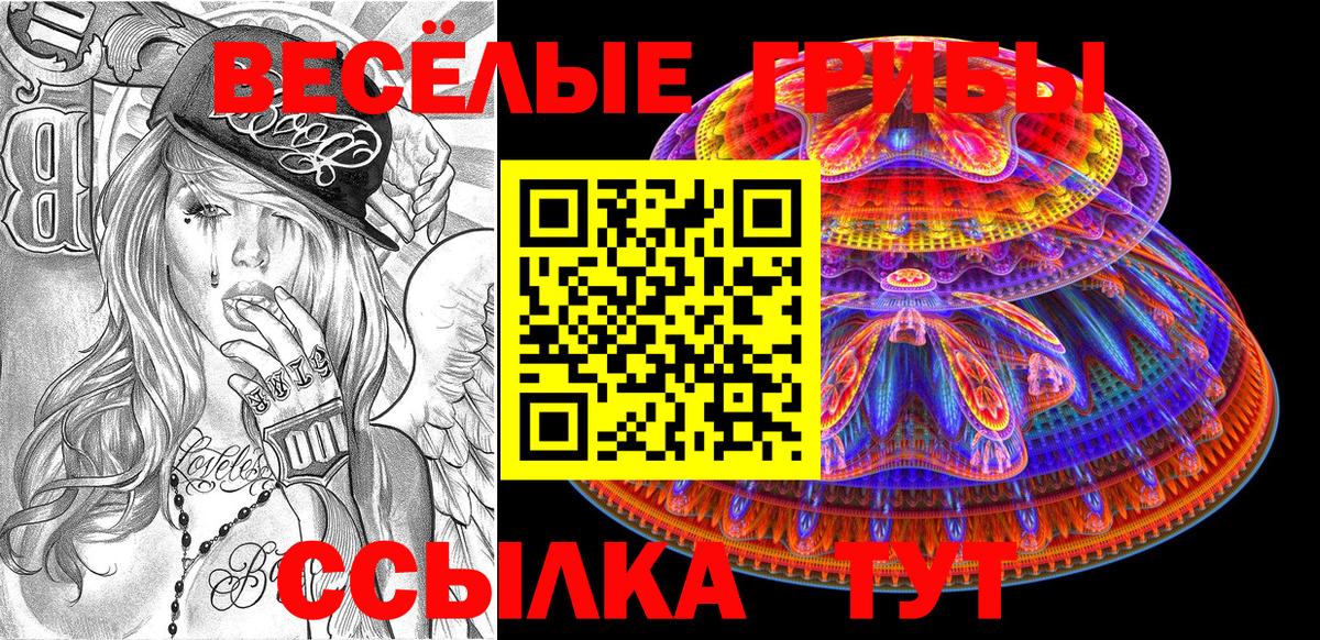 Галлюциногенные грибы Cubensis Нефтекумск